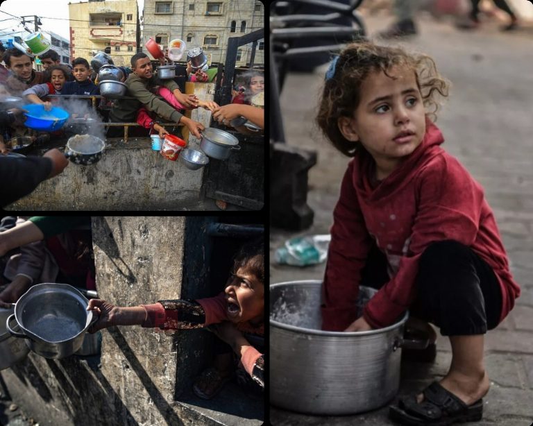 glad gaza scaled