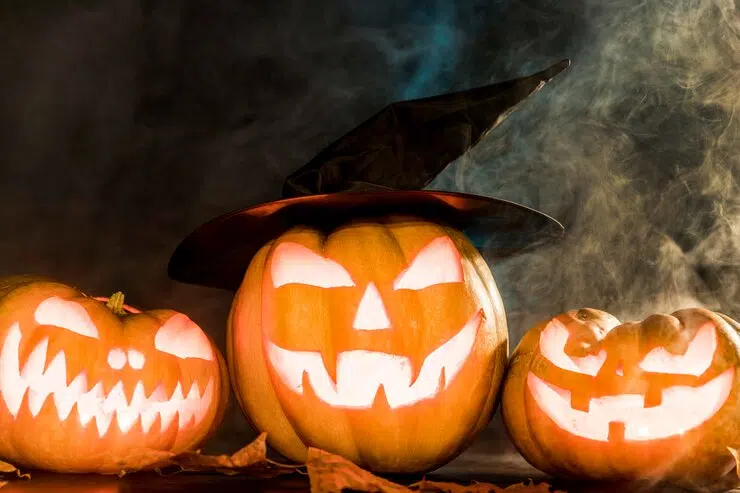 halloween-nokta-koga-site-mozeme-da-bideme-malku-ludi