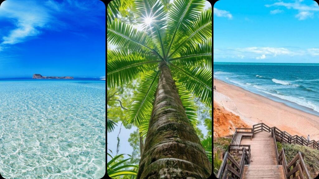 Прогласени најубавите плажи на светот за 2026