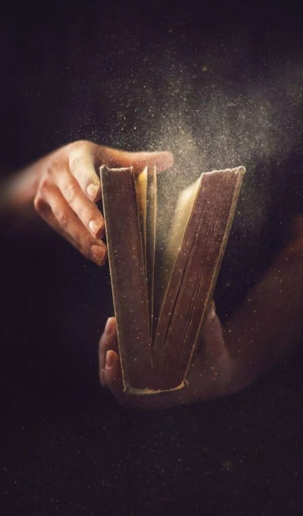 Образованието како вредност, не само како мерка - Колумна на Соња Ризоска Јовановска, универзитетски професор